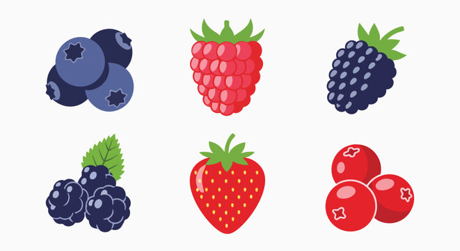Delicious fresh summer berries collection colorful icons set blueberry raspberry blackberry strawberry cranberry vector illustration flat design fruit food healthy organic