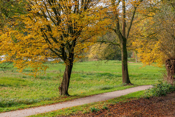 Herbstzeit an einem See im Münsterland