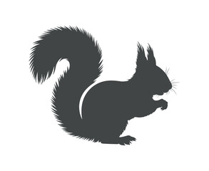 Squirrel Vector Silhouette Animal Rodent Isolated White Background