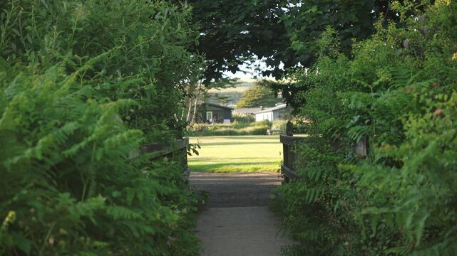 lush corridor to sunny yard, calm corridor of greenery leads to sunlit grassy area beyond dense