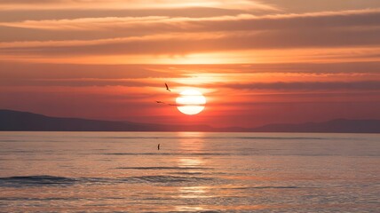 Naklejka premium sunset on the beach