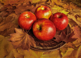 Apples on a plate