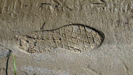 Shoe prints on wet sand