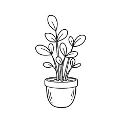 A potted plant with long stems and leaves