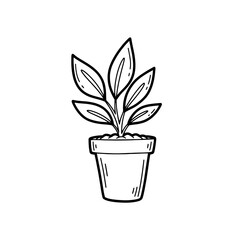 A image of a potted plant with visible leaves and a transparent background in a simple style