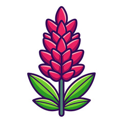 Illustration of pink lupine flower vector drawing botanical illustration floral design element