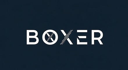 Creative Visual Identity Design for Boxer Software Solution
