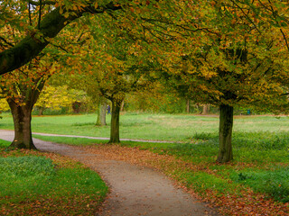 Naklejka premium Goldener Oktober im Münsterland