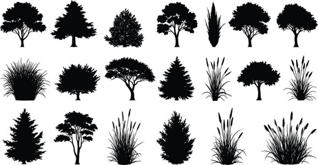 Tree silhouette collection, botanical shapes, forest elements, nature icons, plant diversity, foliage forms, landscape design, environmental art, black vector set