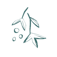 Mistletoe branch with berries drawn in minimal hand sketch style on white background for winter design projects