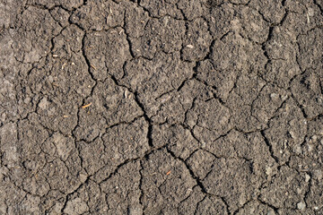 Global warming, Drought in the summer. Dark soil texture closeup