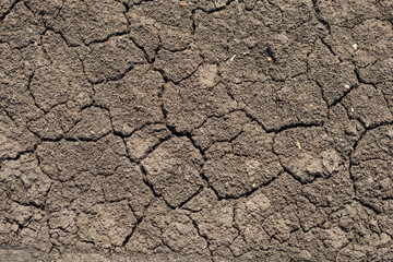 Global warming, Drought in the summer. Dark soil texture closeup