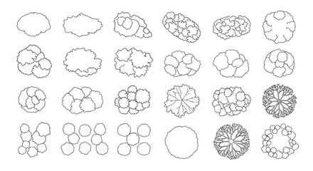 A set of vector drawings of various trees from above for architectural and landscape design plans