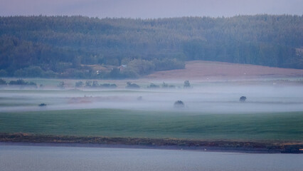 On a peaceful, Eyjafjörður Fjord sailing into Akureyri, misty start to a beautiful day, August 2025 