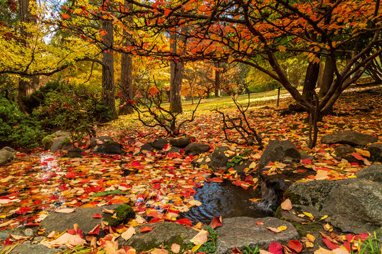 Autumn Pond In Lithia Park In Ashland Oregon With Colorful Leaves And Rugged Trees