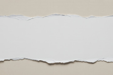 torn paper with space for your text