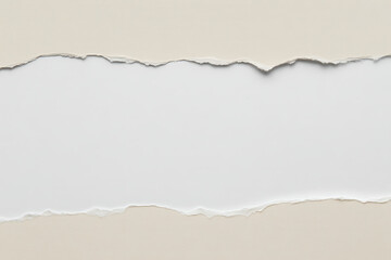 torn paper with space