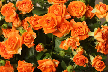 mixed flower bouquet of various types of flowers and colors