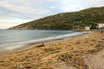 A sandy beach on an island in Greece is filled with a variety of debris brought by the waves of the sea. The concept of marine pollution, pollution of ocean water by plastic, garbage and human waste.