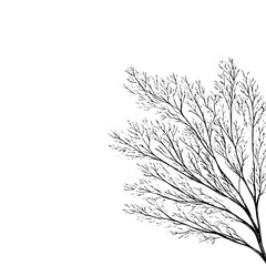 Obraz premium Monochrome tree branches vector art for graphic design and nature themed projects black and white drawing 100
