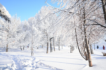 Christmas fir trees, branches in the snow, forest landscape. Fairy-tale road to the forest. 