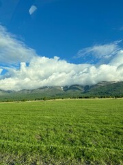 Fototapeta premium green field and blue sky
