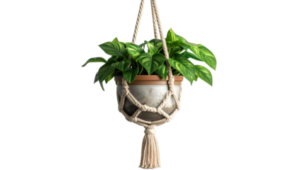 A realistic PNG of an indoor hanging pot — stylish and modern, featuring green plants in a decorative hanging container. Perfect for home décor designs, interior visuals, and nature-inspired artwork.