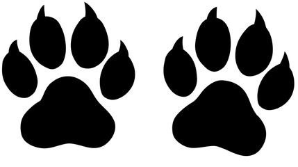 Fototapeta premium Black Paw Prints: Tracking Wildlife Across Plains and Forests; Predator Animal Tracks (117 chars)