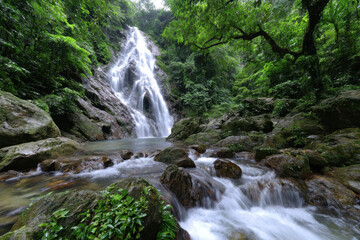 Fototapeta premium Serene waterfall cascading through lush jungle in daytime setting