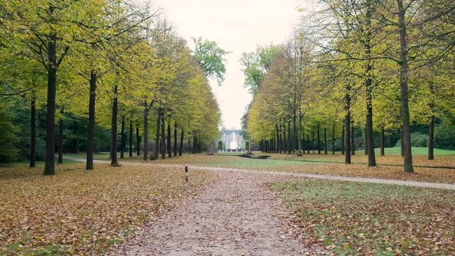 Camera moving forward on a path in a beautiful autumn park avenue