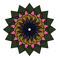 Intricate geometric mandala pattern floral design vibrant colors digital art