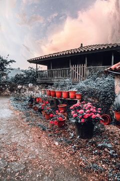 Traditional wooden horreo in Asturias along Camino Primitivo, surrounded by blooming red flowers in clay pots under pastel evening sky, reflecting rustic charm and Spanish heritage