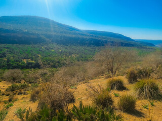 A mountainous landscape with dry trees overlooking a green forest in North Africa, Algeria.