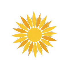 Sunflower isolated on transparent background