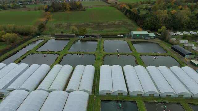 Aerial drone view of fish rearing aquaculture facility, fish ponds with fry for restocking in rivers, greenhouse poly tunnels in Calverton, United Kingdom 