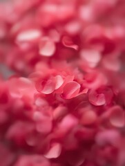 Rose Petals Dance: Delicate rose petals, in varying shades of pink, float gracefully. Soft, romantic, and inviting, a celebration of beauty, love and serenity
