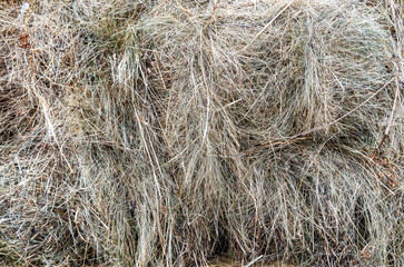 Hay as a natural background. Dry grass as a creative background texture.