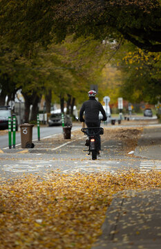 Cycliste sur piste cyclable pleine de feuilles, jour, verticale