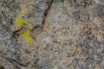 Rough textured rock displays vibrant lichen in outdoor nature setting. Daytime light enhances natural colors and textures of the rock and lichen.
