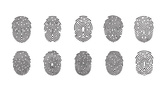 Four unique fingerprint vector designs for identity verification and security measures