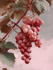 Rosy Grape Cluster: A ripe cluster of rosy grapes hangs from a vine, adorned with green leaves, against a soft, pastel-hued sky.