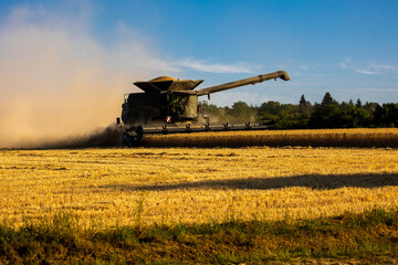 Fototapeta premium Harvester machine harvest cereal wheat