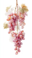 A cluster of ripe, juicy grapes, a natural, sweet treat, hanging in its vine, ready to be enjoyed.