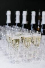 Glasses of sparkling champagne on white table at elegant celebration or corporate event