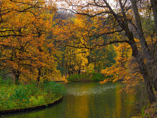 A picturesque view of a pond and trees in autumn in a city park