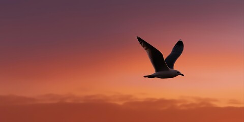 Fototapeta premium Solitary seagull against a vibrant sunset sky