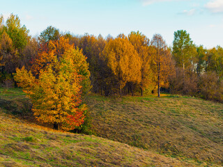 picturesque landscape of hills and trees in the park in autumn