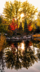A pond in a city park at sunset in autumn. Sunbeams through the foliage.