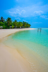 Tranquil closeup calm sea water waves with palm trees. Beautiful Panorama, Tropical island beach landscape exotic shore coast. Summer vacation, holiday amazing nature. Relax paradise, Maldives.