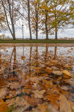 Fall colors in Schwerin Castle, Germany
